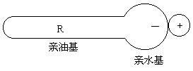 抗静电剂